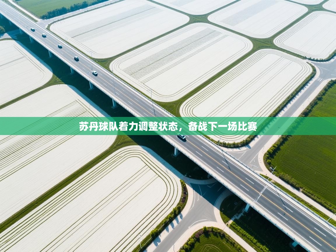 苏丹球队着力调整状态，备战下一场比赛  第1张