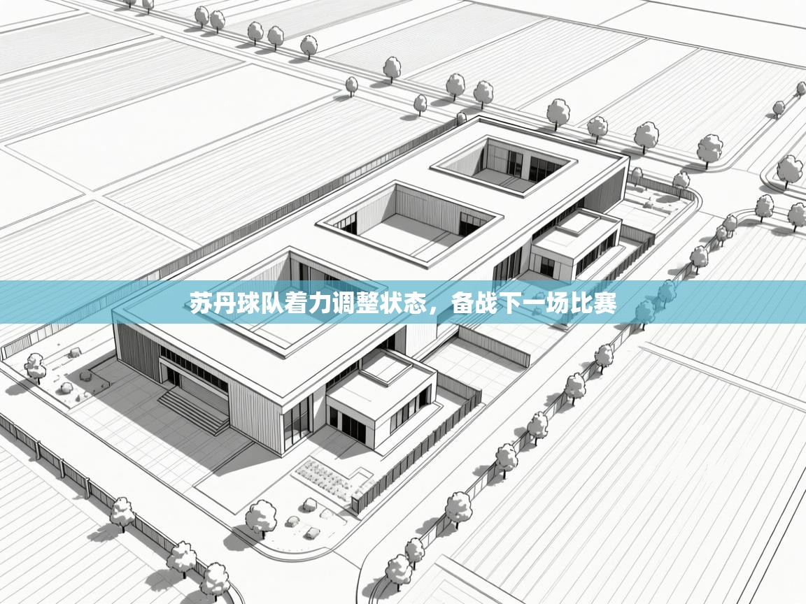 苏丹球队着力调整状态，备战下一场比赛  第2张