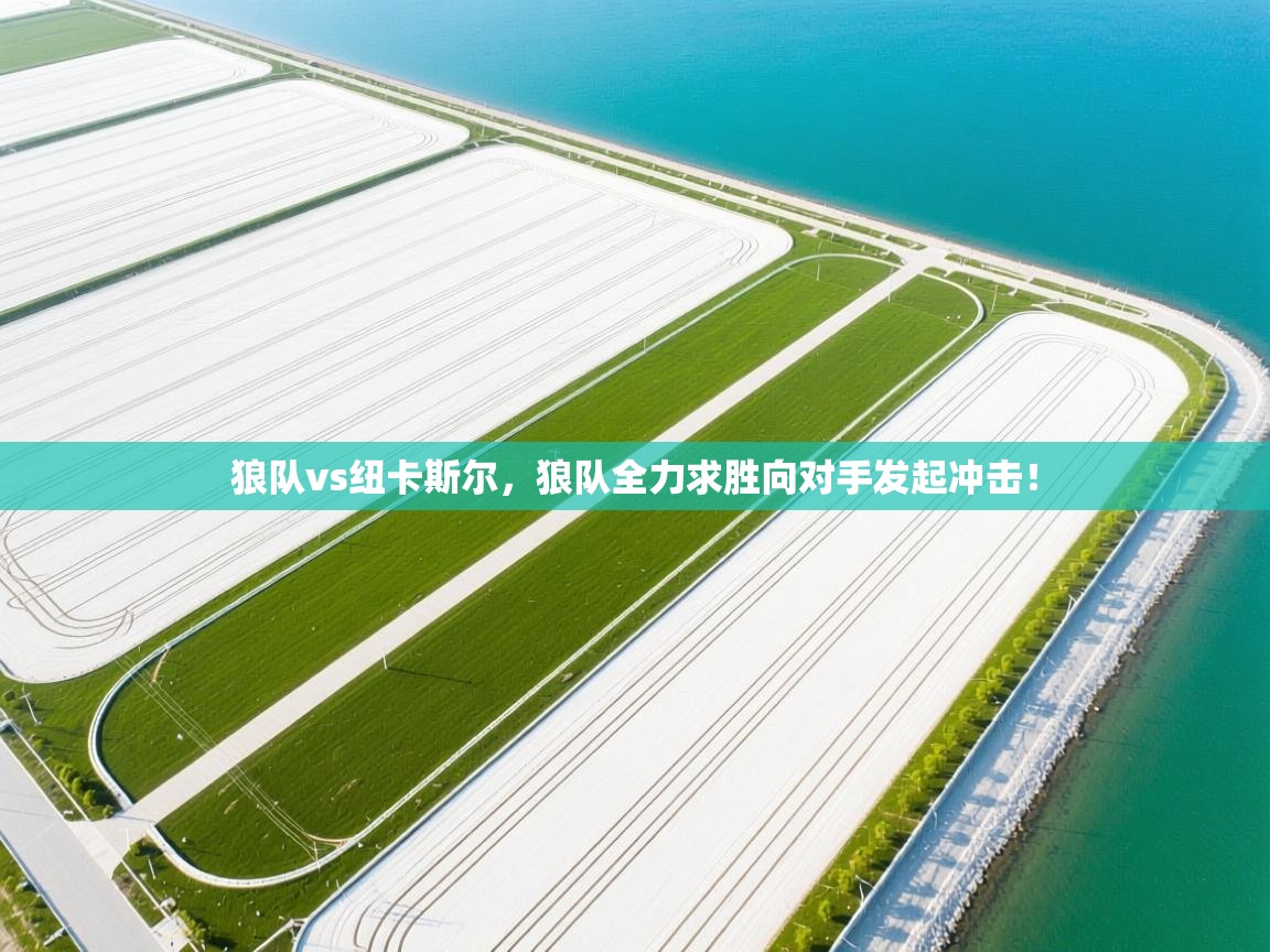 狼队vs纽卡斯尔，狼队全力求胜向对手发起冲击！  第2张