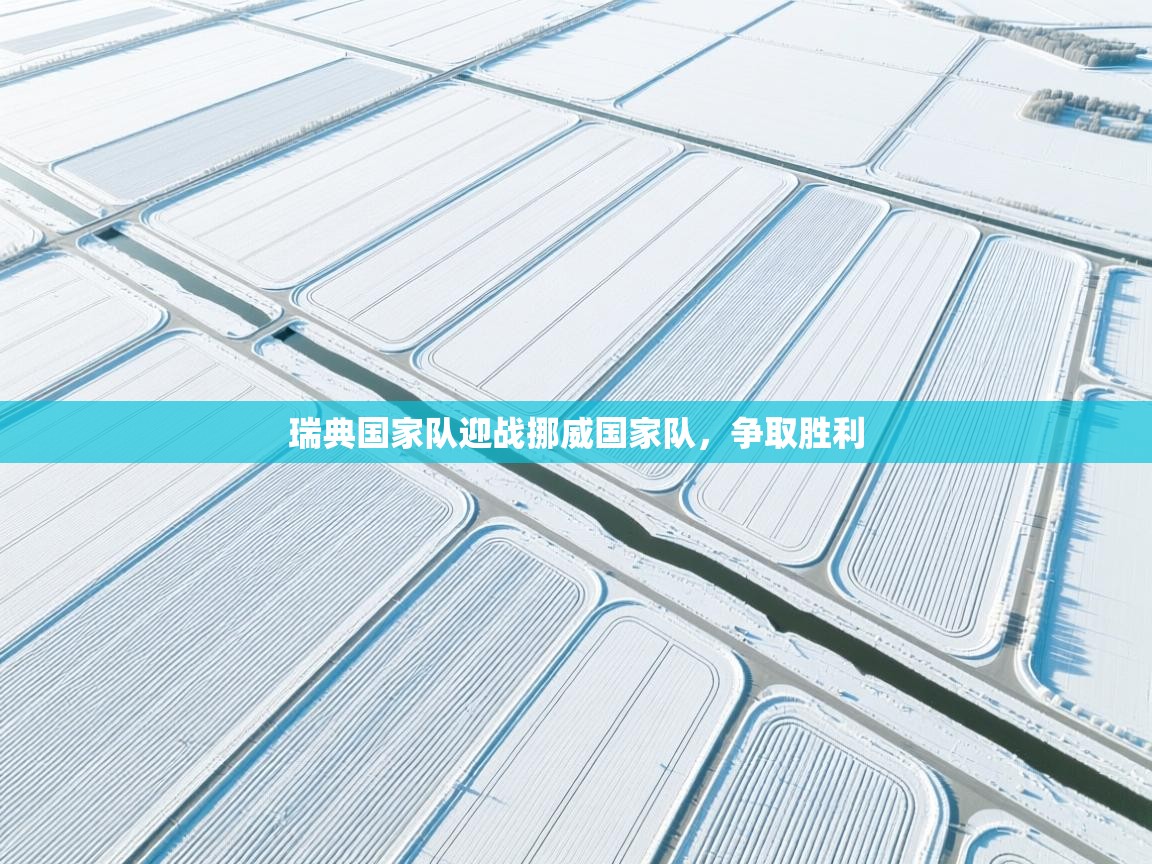 瑞典国家队迎战挪威国家队，争取胜利