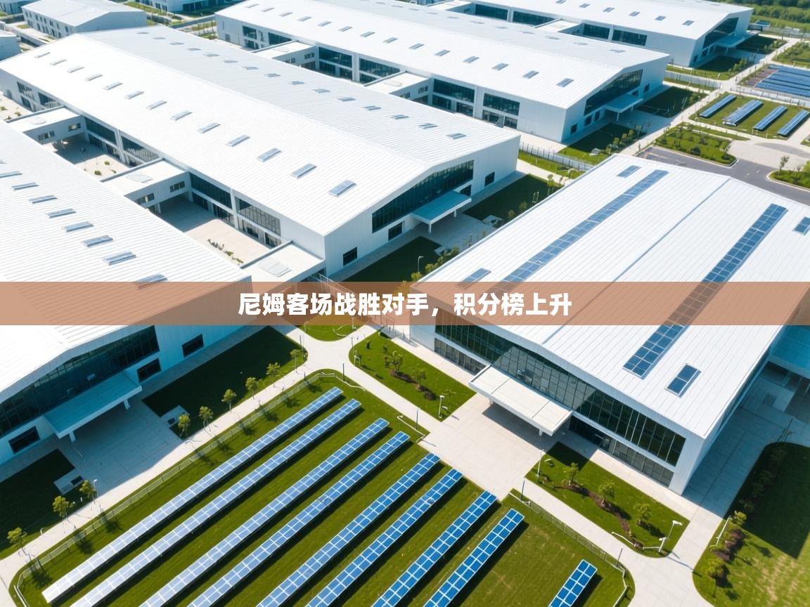 尼姆客场战胜对手，积分榜上升