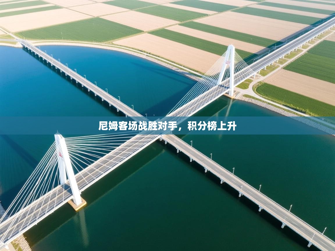 尼姆客场战胜对手,积分榜上升 第2张