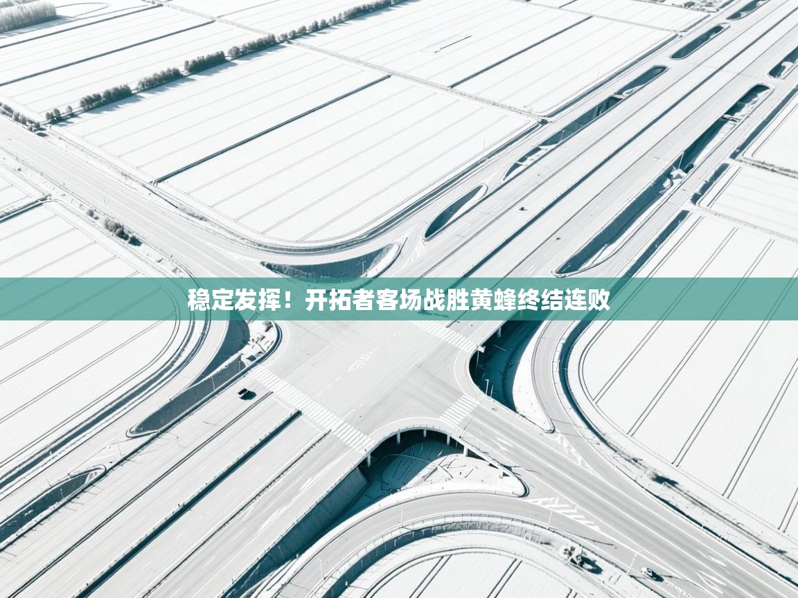 稳定发挥！开拓者客场战胜黄蜂终结连败  第2张