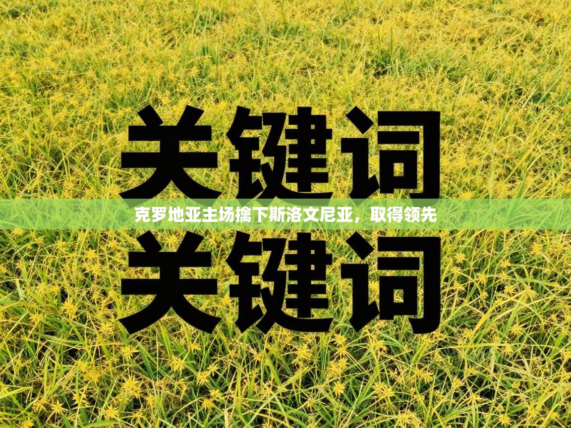 克罗地亚主场擒下斯洛文尼亚，取得领先  第1张