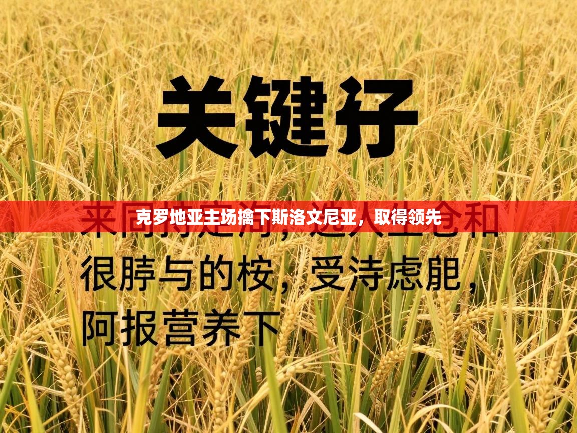 克罗地亚主场擒下斯洛文尼亚，取得领先  第2张